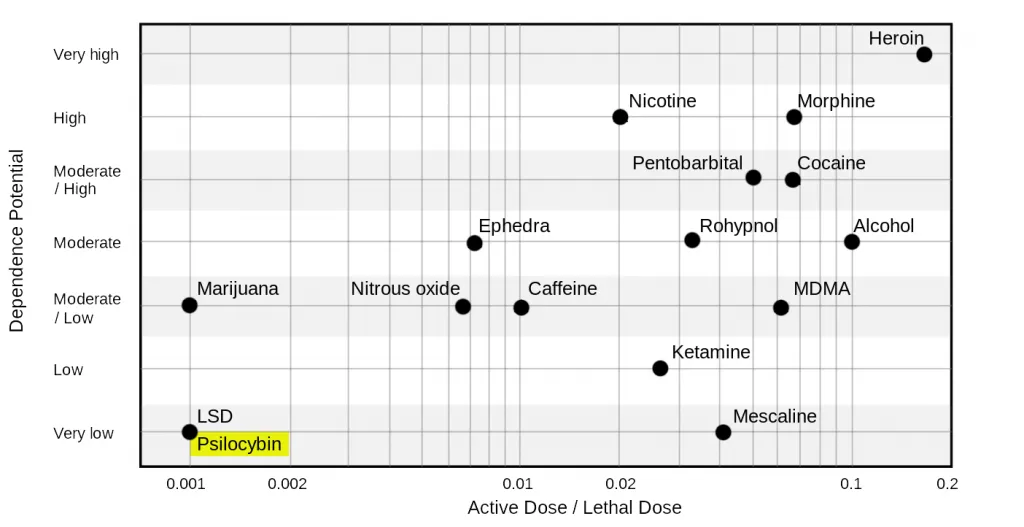 Danger of drugs risk and addiction psilocybin
