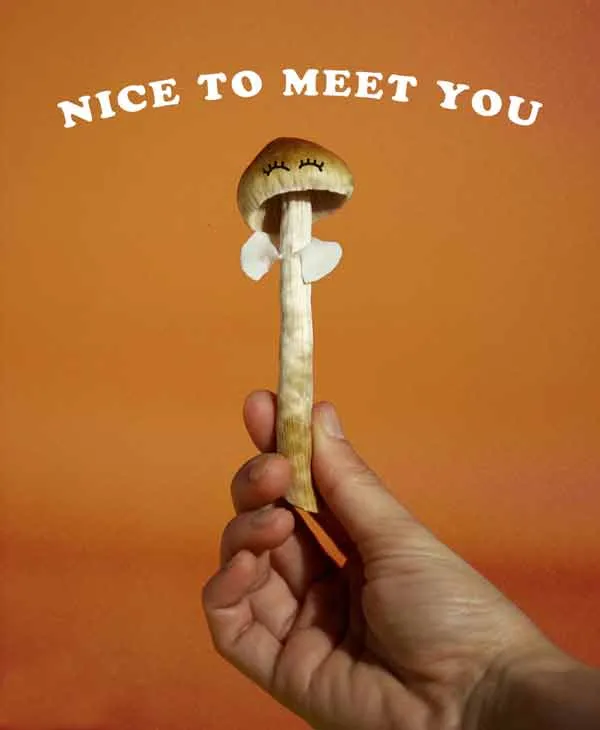 Magice mushroom