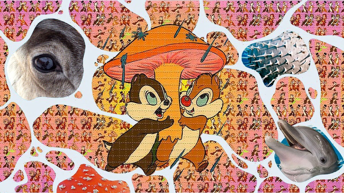 Animals on psychedelics desing with blotter paper of chipmunks holding magic mushroom