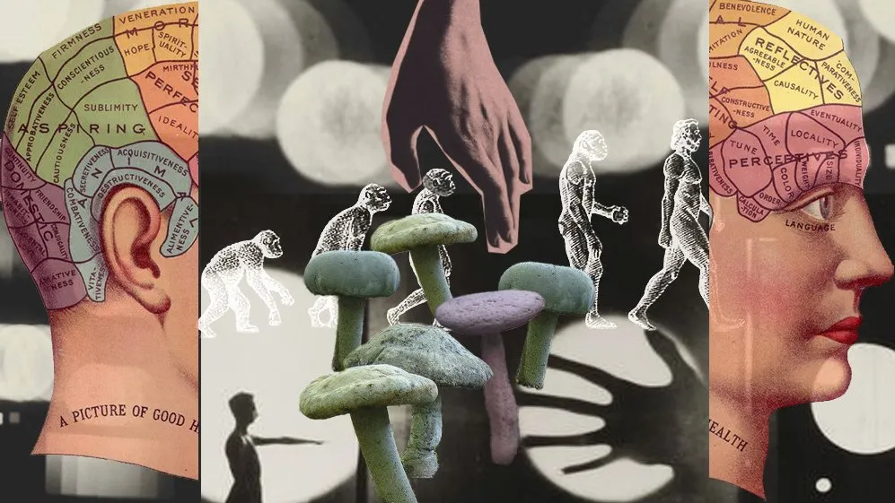 Image of stoned ape theory regarding mushrooms and human conciousness